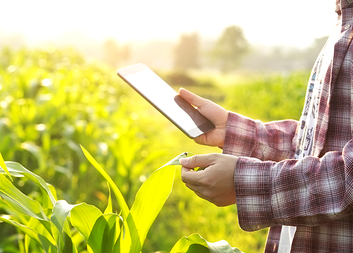 Smart Farming